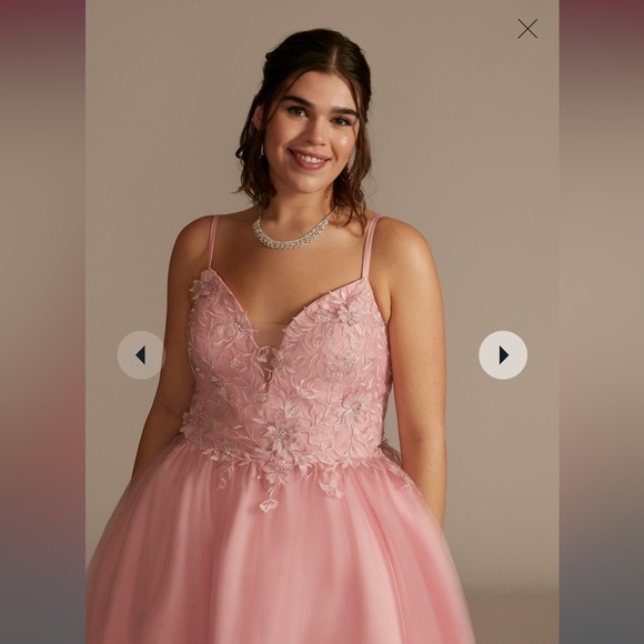 NWT FIFTEEN ROSES short damas tulle dress with floral appliques - Picture 1 of 7